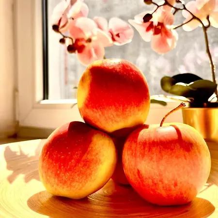 Apartmán Final 1room Warszawacenter Varšava